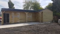 website 2